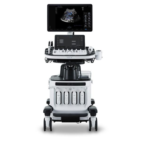 HERA W10